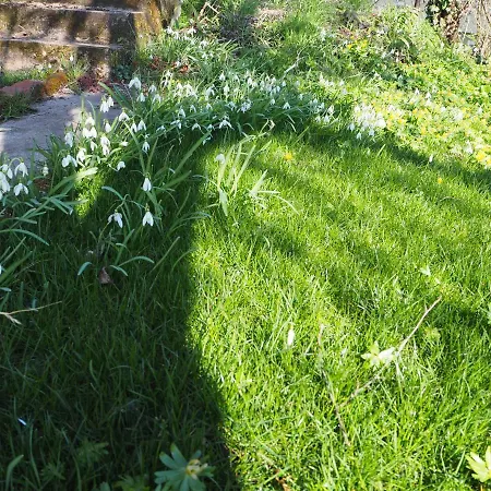 Schlossblick - Location 아파트 *