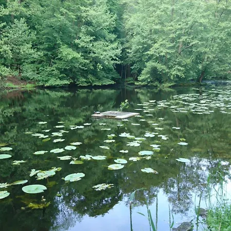Schlossblick - Location 公寓