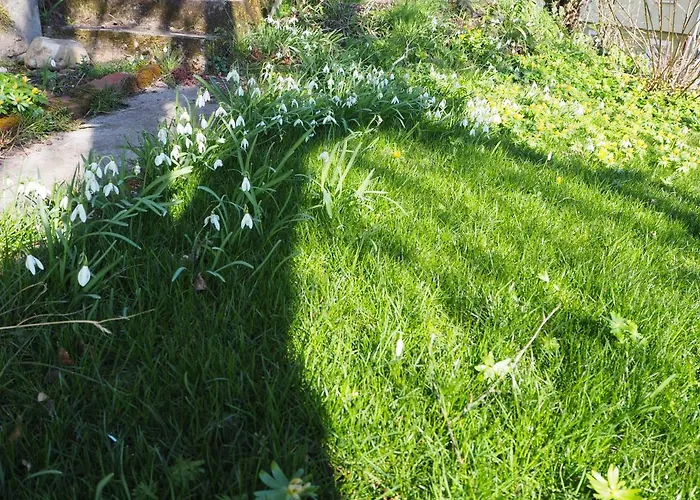 Schlossblick - Location Appartement *